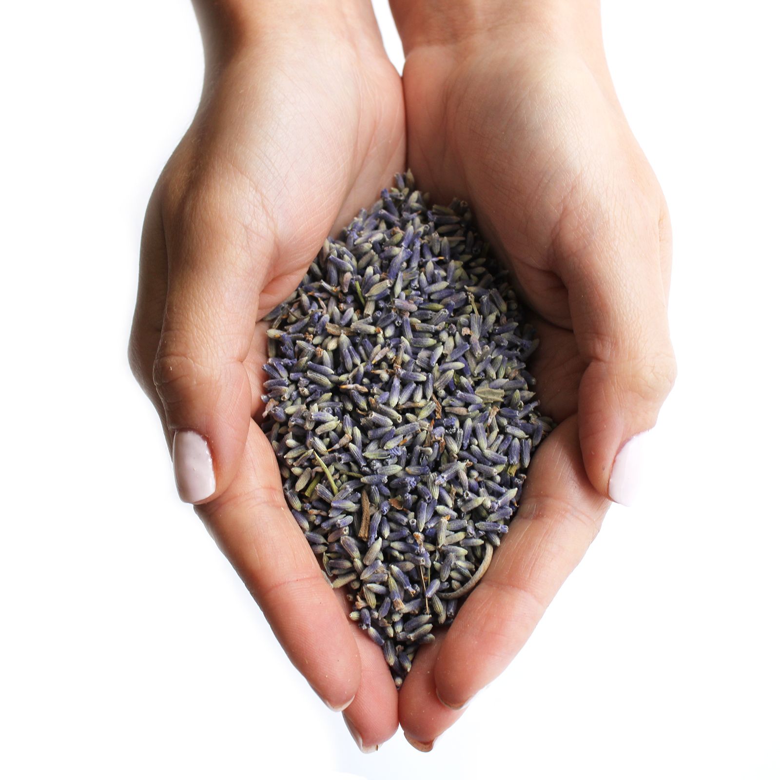 Lavendel Blumen (1 kg) – Bild 4