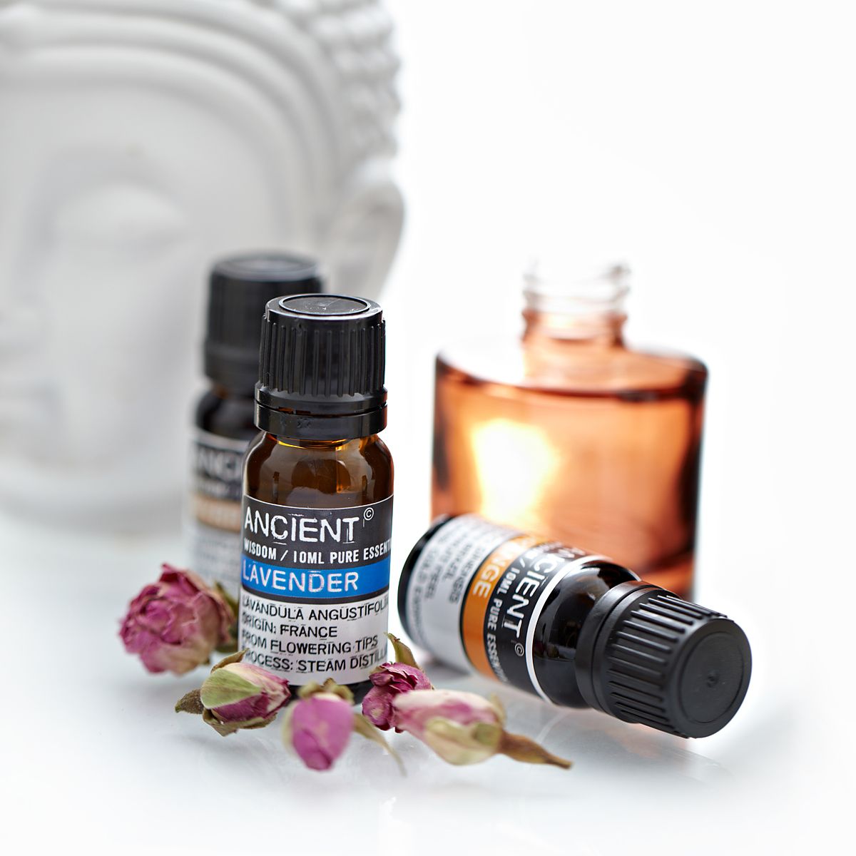 10 ml Teebaum Ätherisches Öl – Bild 3