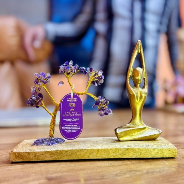 Edelstein-Yogagarten – Sukhasana Pose – Amethyst – geneigter Baum – 100 Steinsplitter