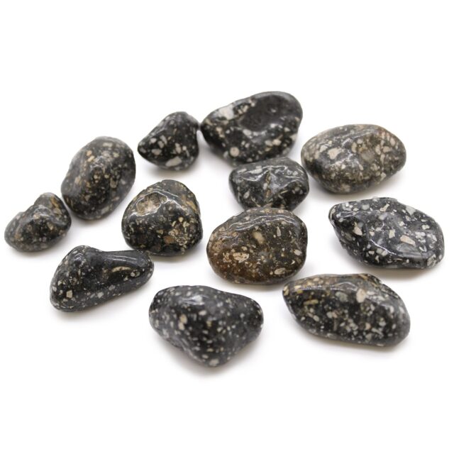 12er-Set mittelgroße afrikanische Trommelsteine – Guinea Fowl Beutel von 12 Mittel