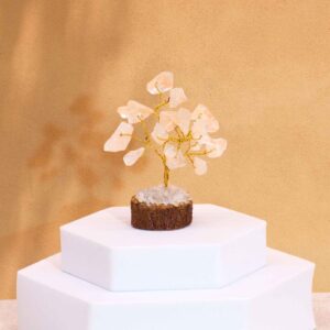 Edelsteinbäume – Mini Gemstone Trees On Wood Base – Rock Quartz (15 stones)