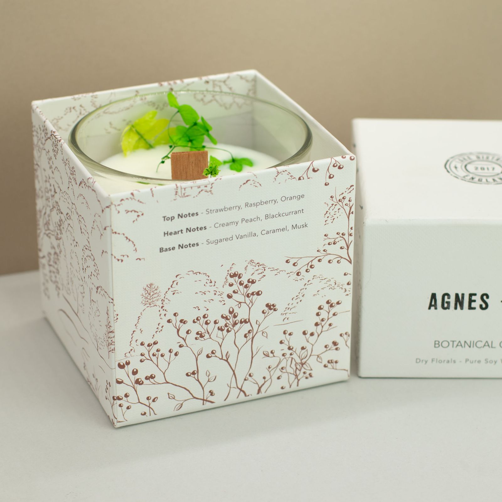 Sojawachskerze – Agnes + Cat botanisch – Fellberry – Bild 3