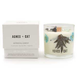 Sojawachskerze – Agnes + Cat botanisch – Seasalt & Moos