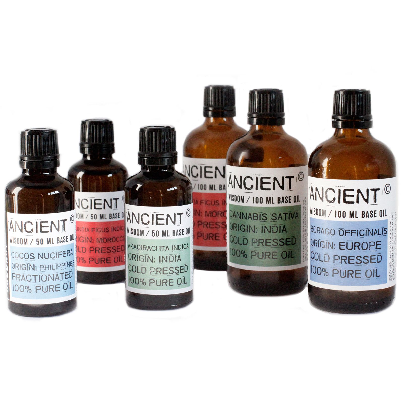 Basisöl – Pfirsichkern – 50 ml – Bild 4