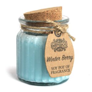 Sojawachskerze – Winter Berry Duftkerze im Sojawachstöpfchen