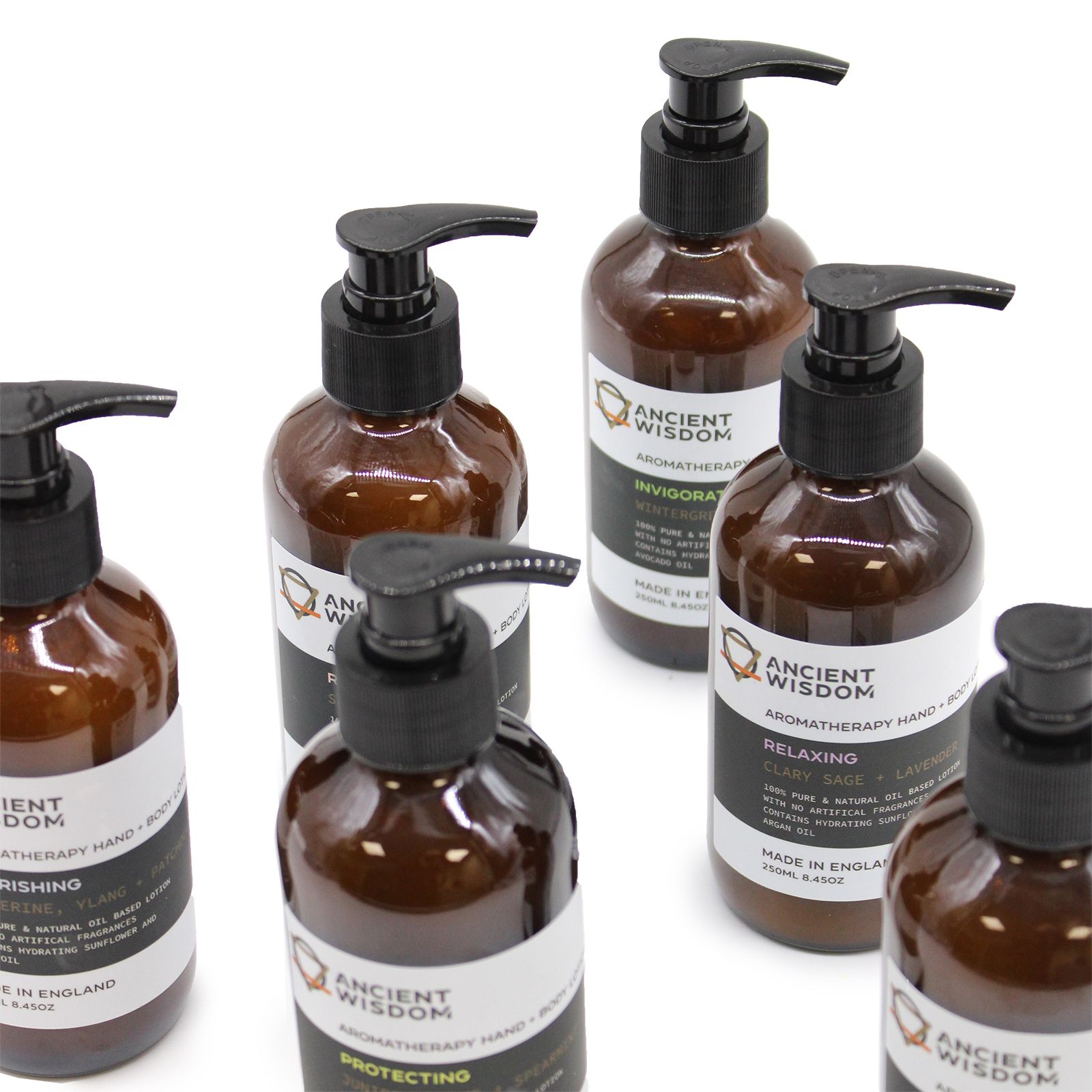 Wintergreen, Oregano & Thymian Hand – und Körperlotion 250 ml – Bild 5