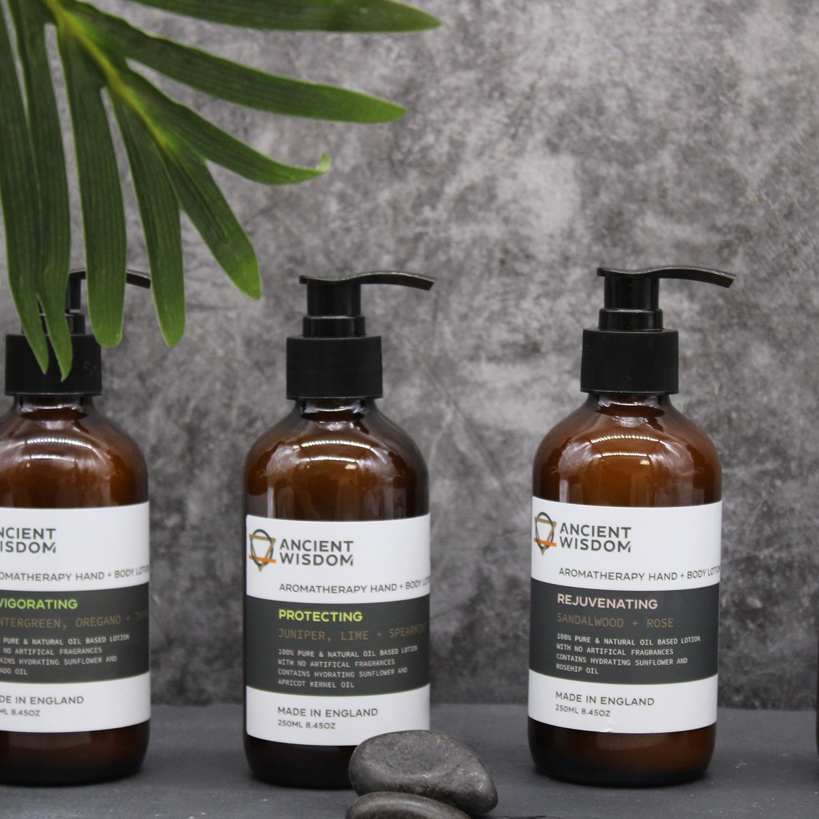 Mandarine, Ylang & Patschuli Hand- und Körperlotion 250 ml – Bild 3