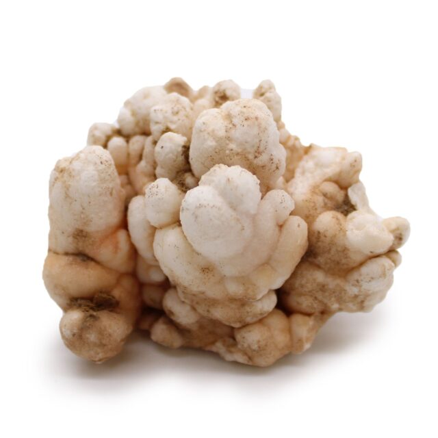 Mineralien-Sammlerstücke – Blume Calcit (ca. 20 Stück)